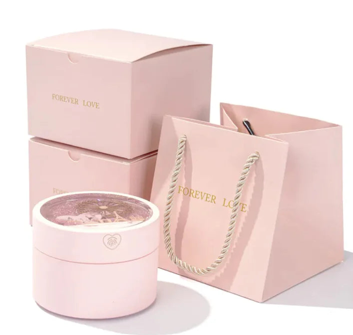 Rotating Ferris Wheel Jewelry Case