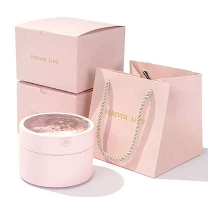 Rotating Ferris Wheel Jewelry Case