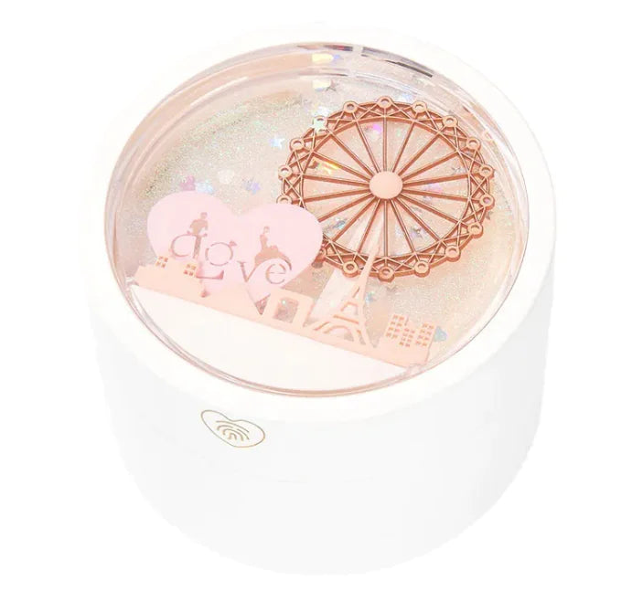 Rotating Ferris Wheel Jewelry Case